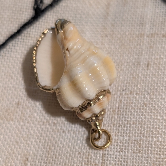 Small conch shell pendant - Picture 4 of 4